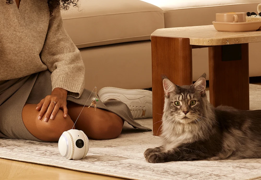 pet cameras for home